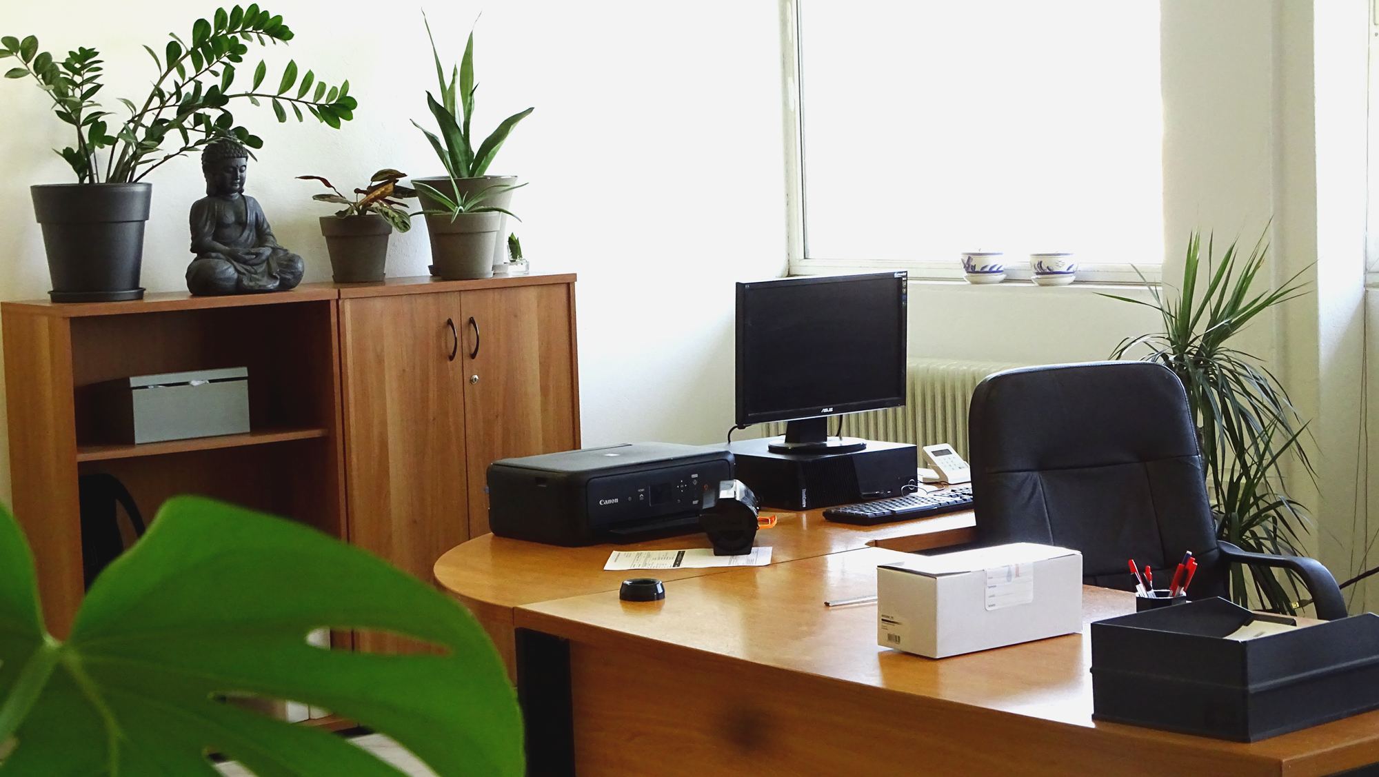 stopfirelion_offices_2