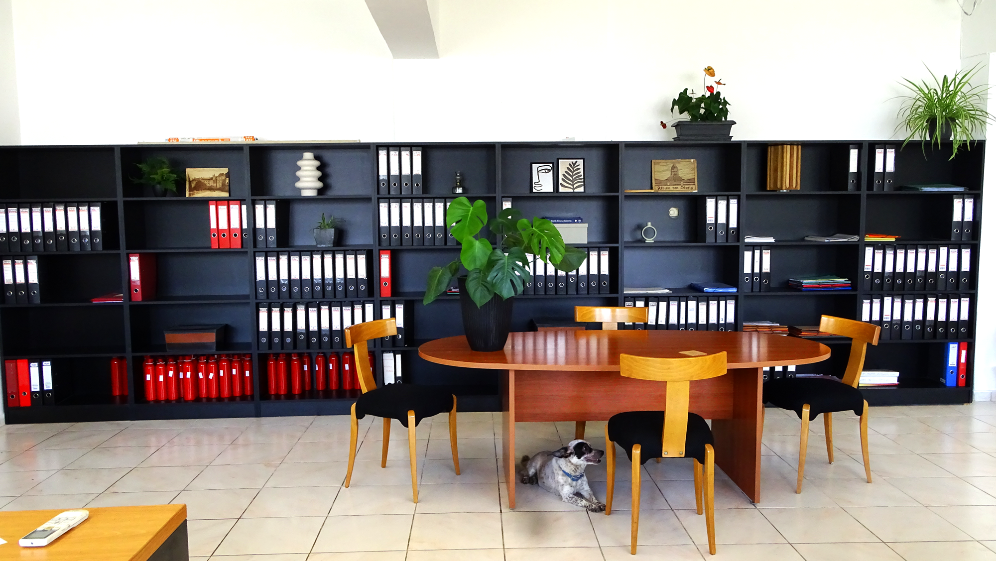stopfirelion_offices_3