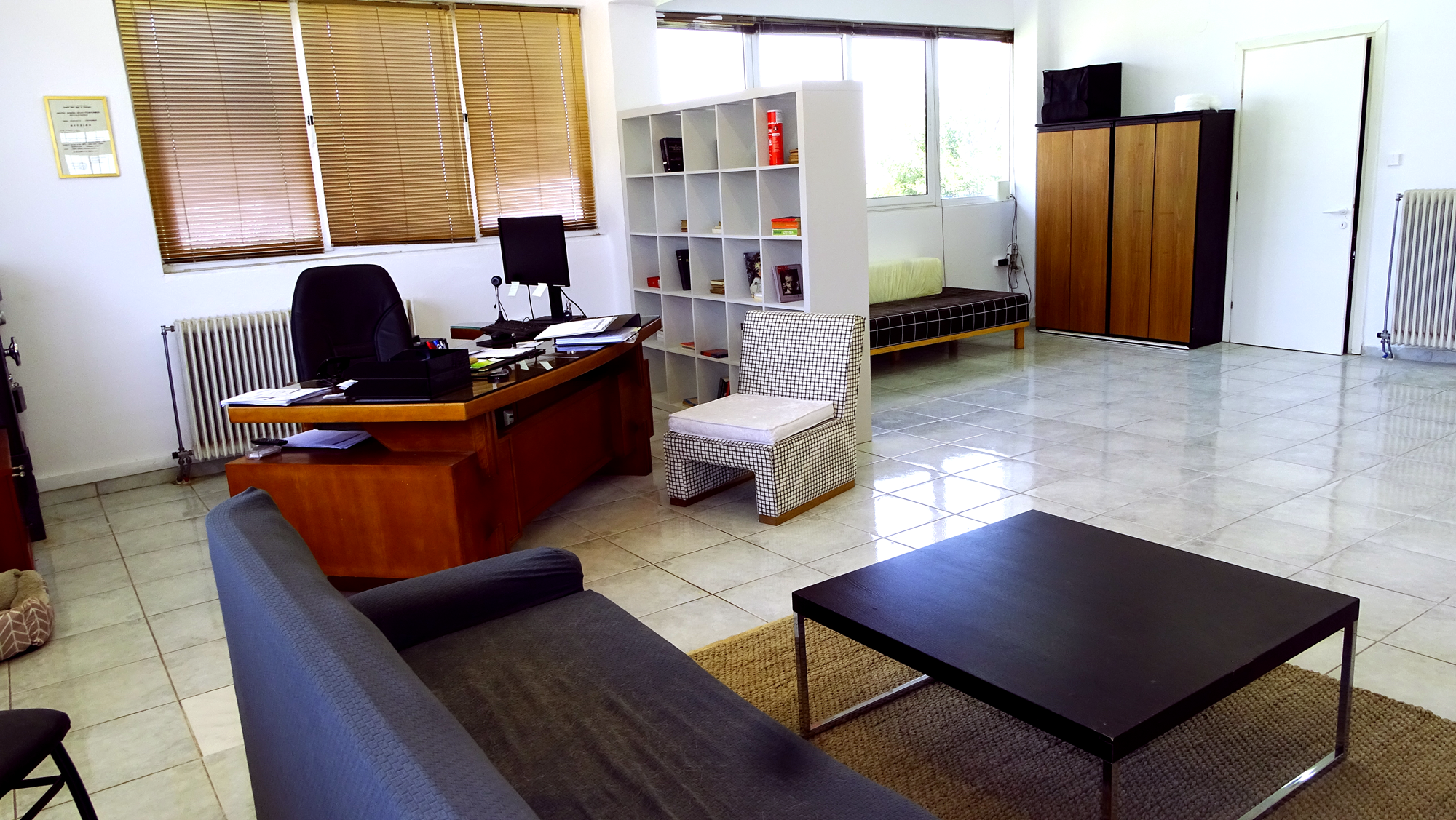 stopfirelion_offices_4