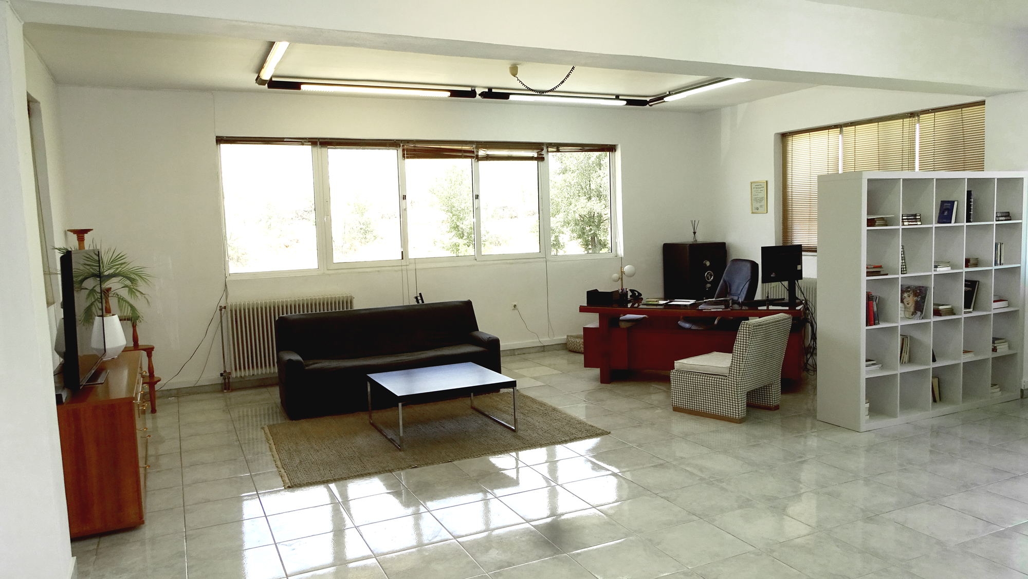 stopfirelion_offices_5