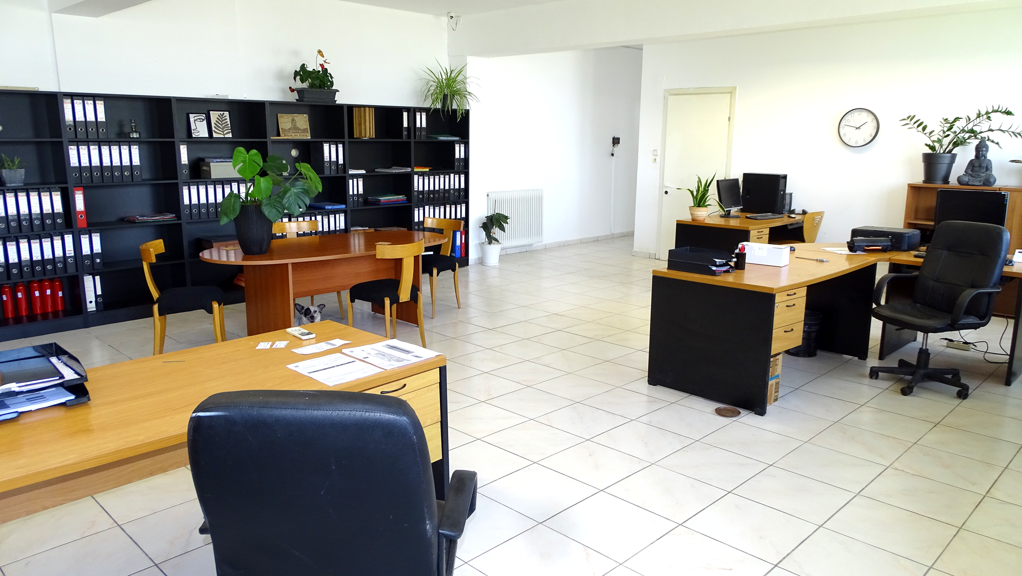 stopfirelion_offices_7